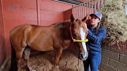 mqn-con 21 años es toda una experta del mundo equino-040324