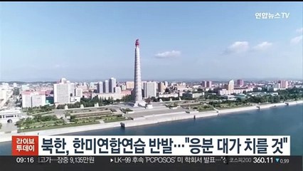 Скачать видео: 북한, 한미연합연습 반발…