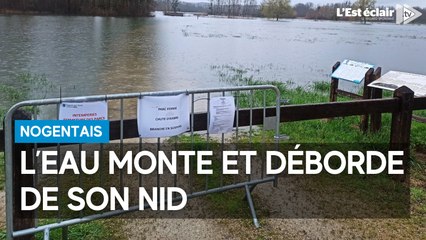 L’eau monte et déborde de son nid dans le nogentais