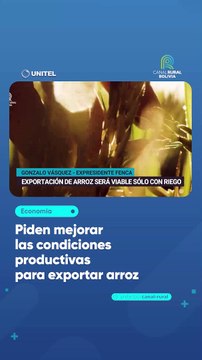 Piden mejorar las condiciones productivas para exportar arroz