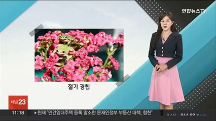 Download Video: [날씨톡톡] 봄비 내리는 절기 '경칩'…강원 산지 최고 15㎝ 대설