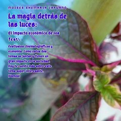 Moises Shemaria Capuano| La magia detrás de las luces (parte 1)