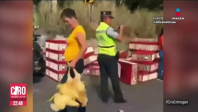 Habitantes se llevan pollos de camión que volcó en Veracruz