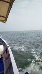 马来西亚海事执法直升机坠海，4名渔民成功救援🚁