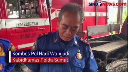 Evakuasi Buaya Liar di Tarakan, Kalimantan Utara Sempat Terkendala