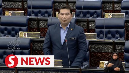 Padu's data verification necessary to avoid inaccuracies, says Rafizi