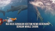 Momen Ria Ricis Berenang Bersama Whale Shark Gunakan Kostum Ikan Nemo
