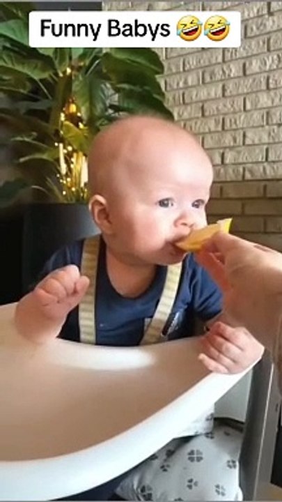 Funny videos  10