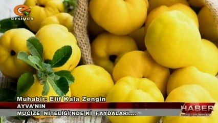 28 OCAK 2024 -ELİF KALA ZENGİN