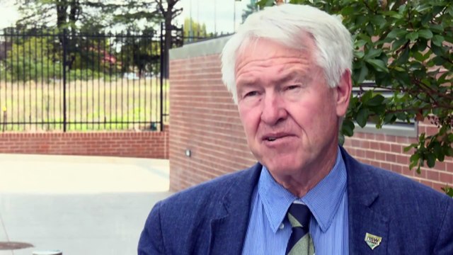 Inquiry hears eradication of insect is possible in Australia