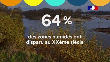 RA IGEDD 2023 # Zones humides