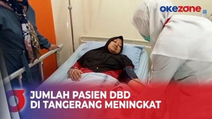 Jumlah Pasien Demam Berdarah Dengue di Tangerang, Banten Terus Meningkat