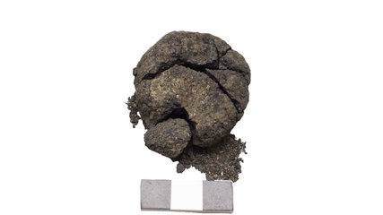 Çatalhöyük'te 8 bin 600 yıllık "ekmek" bulundu