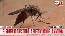 Polémica por la vacuna contra el dengue: el Gobierno cuestionó su efectividad