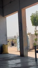 Entertainment in my rice mill vlog