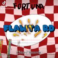Flawta RD FORTUNA Prod. Chico 7