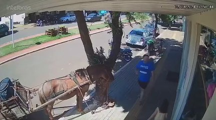 El impactante ataque de un caballo hacia un hombre que caminaba por la calle, lo mordió