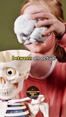 How You Manifest Your Reality By Deepak Chopra