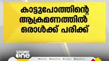 കോഴിക്കോട് കക്കയത്ത് കാട്ടുപോത്തിന്റെ ആക്രമണത്തിൽ ഒരാൾക്ക് പരിക്ക്