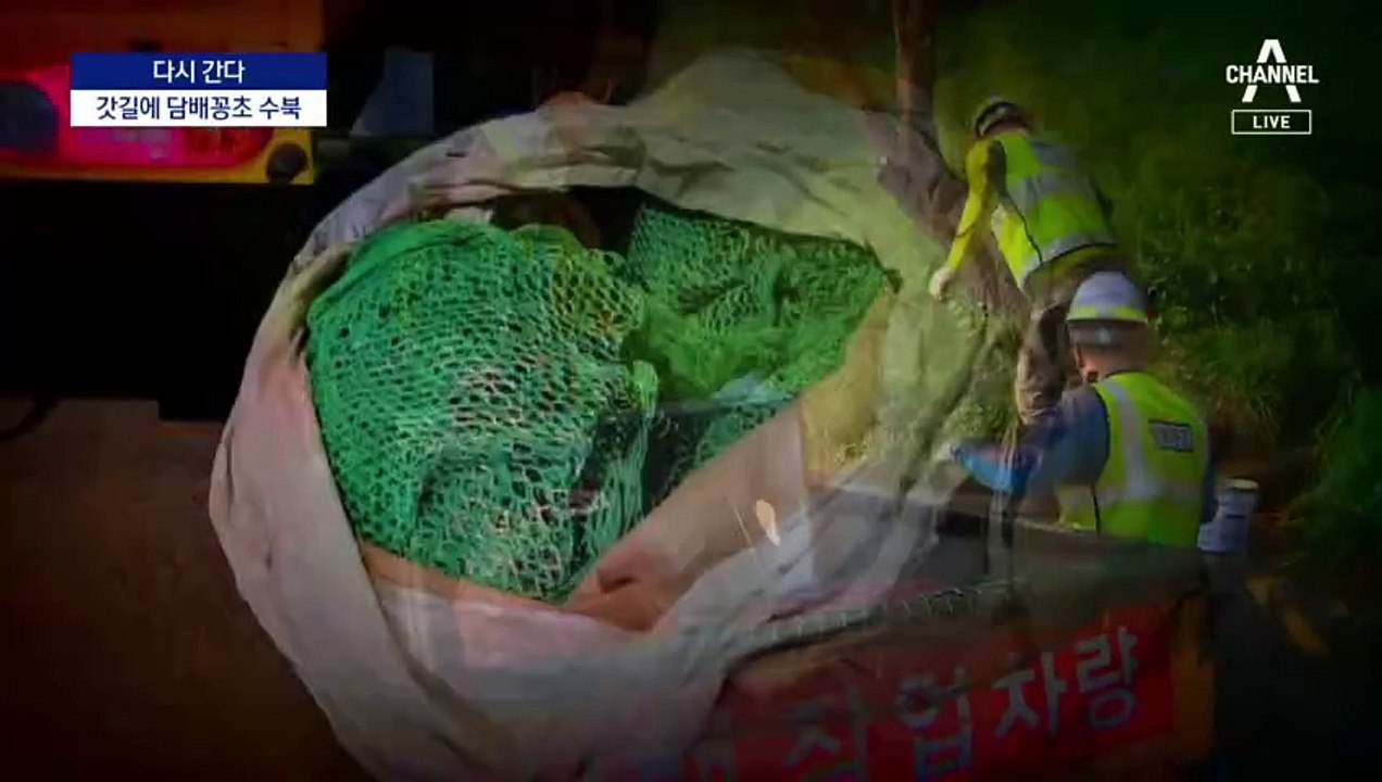 [다시 간다]자유로에 버려진 TV·소파