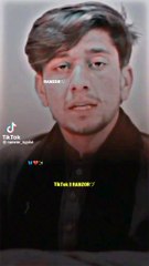 da Palestine pa bara ke shahiri