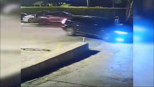 Lüks cip dehşeti: Sürücü Mısır'a kaçtı