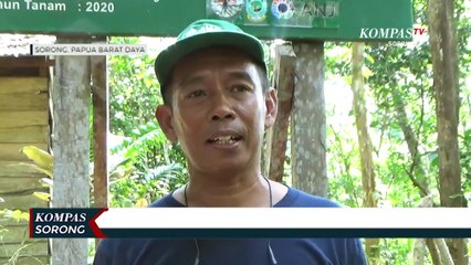 Komitmen ANJ Rehabilitasi Hutan Lindung Malanu Sebagai Daerah Aliran Sungai