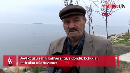 Beylikdüzü sahili kahverengiye döndü! 'Kokudan arabadan çıkamıyorum'