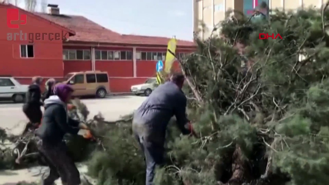 Seçim çalışmasında üzerine ağaç devrilen başkan adayının ayağı kırıldı