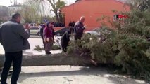 Seçim çalışmasında üzerine ağaç devrildi: Belediye başkan adayının ayağı kırıldı
