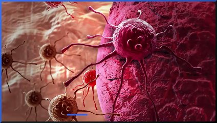 Why is sugar bad for you?