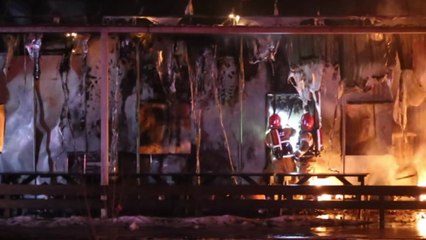 동두천 곤충사육 농장에서 불...10만 마리 폐사 / YTN