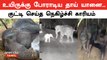 தாய் யானையை காப்பாற்ற போராடிய வனத்துறையினர் | Sathyamangalam Elephant | Oneindia Tamil