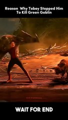 Reason Why Tobey Stopped Him To Kill Green Goblin  #shorts