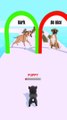 DOGGY RUN GAMEPLAY WALKTHROUGH  _ DOG SWEET  _ ANDROID, iOS MOBILE _ NEW UPDATE #SHORTS GAMES #0