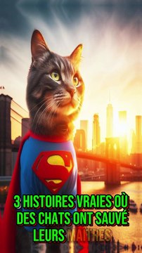 Ces chats ont sauvé leurs maîtres ! Un bébé sauvé par Masha !