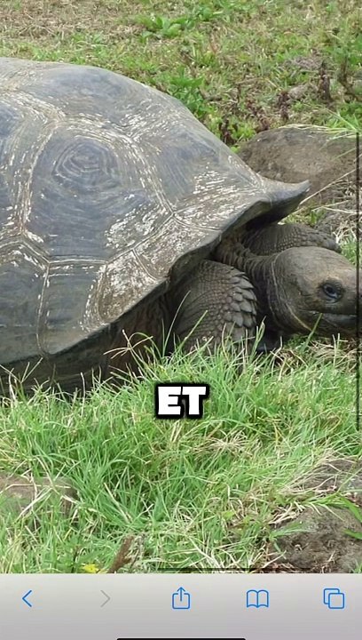 Les îles Galapagos