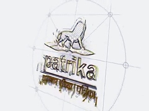 खेत में आया मगरमच्छ, वन विभाग की टीम ने रेस्क्यू कर नदी में छोड़ा-video