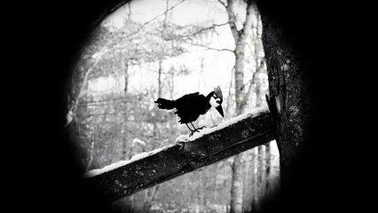 Hundreds of Beavers - Trailer