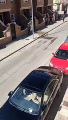 Un hombre se atrinchera en una vivienda de Albacete con un arma de fuego tras realizar varios disparos