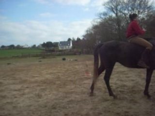 Travail monté en total lib