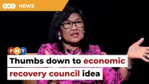 Rafidah’s economic recovery council idea gets thumbs down