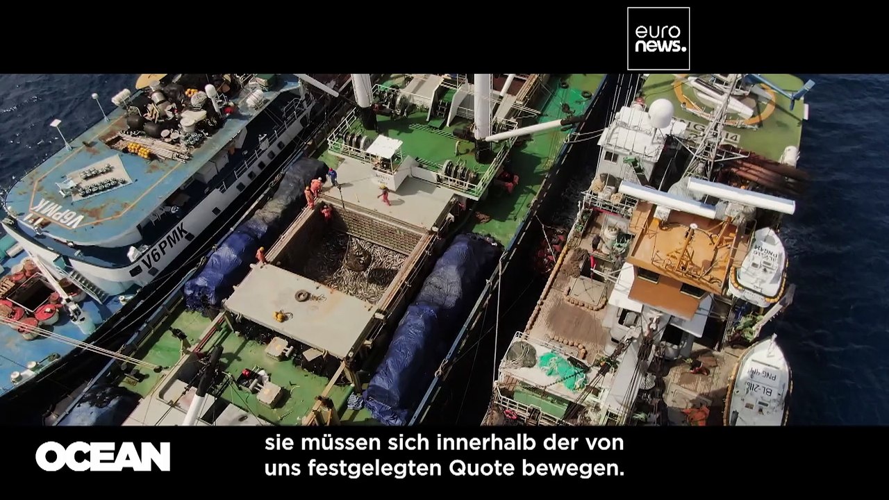 Welche Zukunft hat der Thunfischfang im Pazifik?