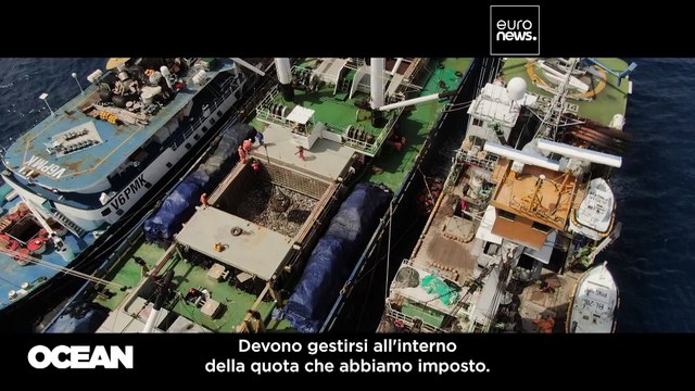 Viaggio nel Pacifico centro-occidentale, dove si pesca più della metà del tonno a livello globale