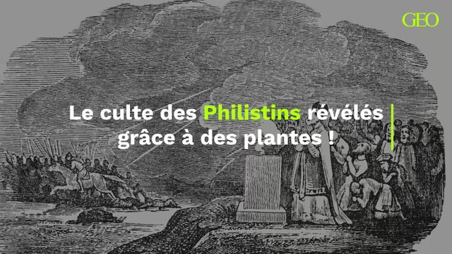 Les mystérieux cultes des Philistins révélés à travers les plantes psychédéliques retrouvées dans leurs temples antiques