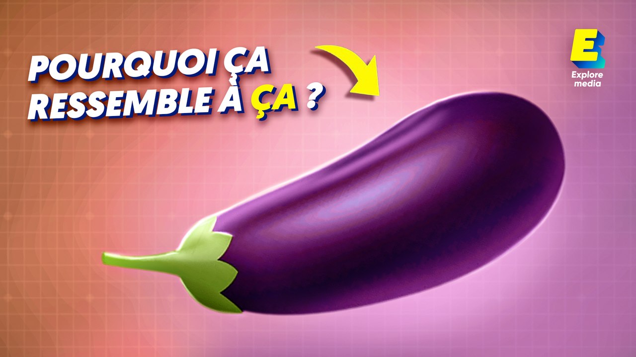 Pourquoi le pénis humain ressemble à ça ?