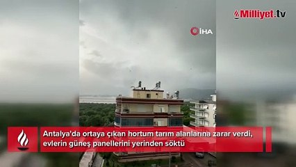 Antalya'da hortum böyle geldi, tarım alanları zarar gördü