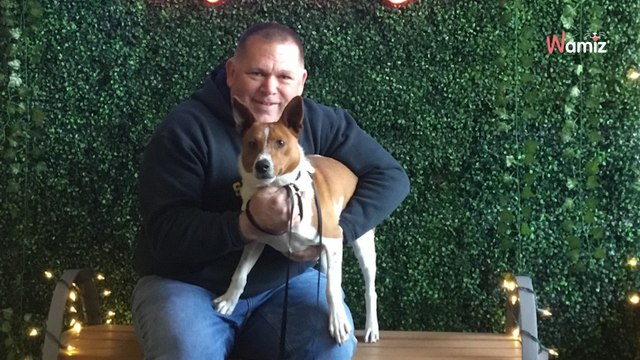 En vacances, cet homme croise des chiens en promenade : il décide d'annuler les billets d'avion du retour immédiatement