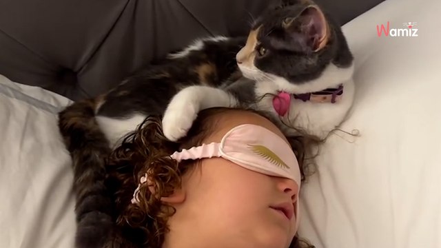 Une enfant de 4 ans propose à son chat une chose à peine croyable : 1,2M d'internautes retiennent leur souffle (vidéo)