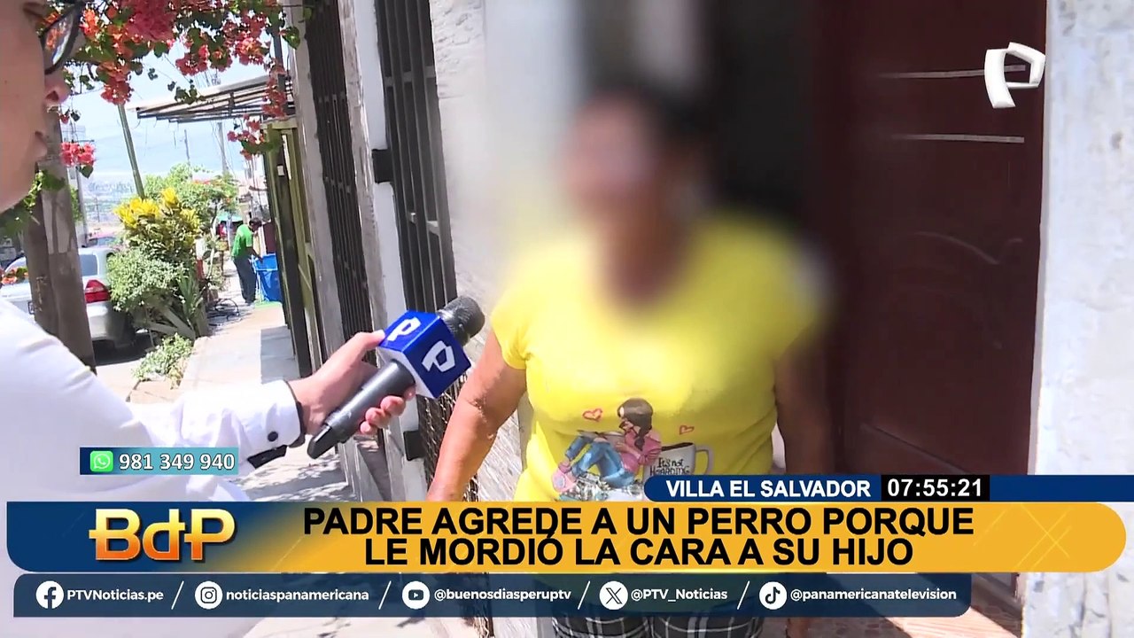 Perrito no sobrevive tras ser acuchillado en VES: hombre lo ataca por morder a un menor